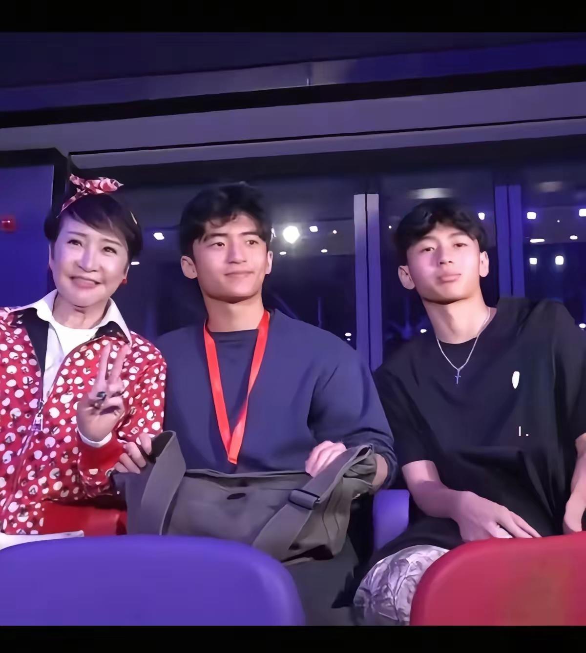 张柏芝俩儿子亮相谢霆锋演唱会，这颜值反差也太意外了！前婆婆狄波拉带着俩娃现身，小