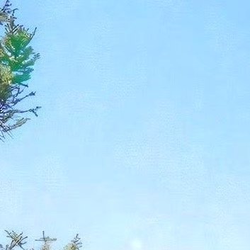 通常让人迷茫的原因只有一个，那就是本该拼搏的年纪，却想得太多，做得太少，人生在于