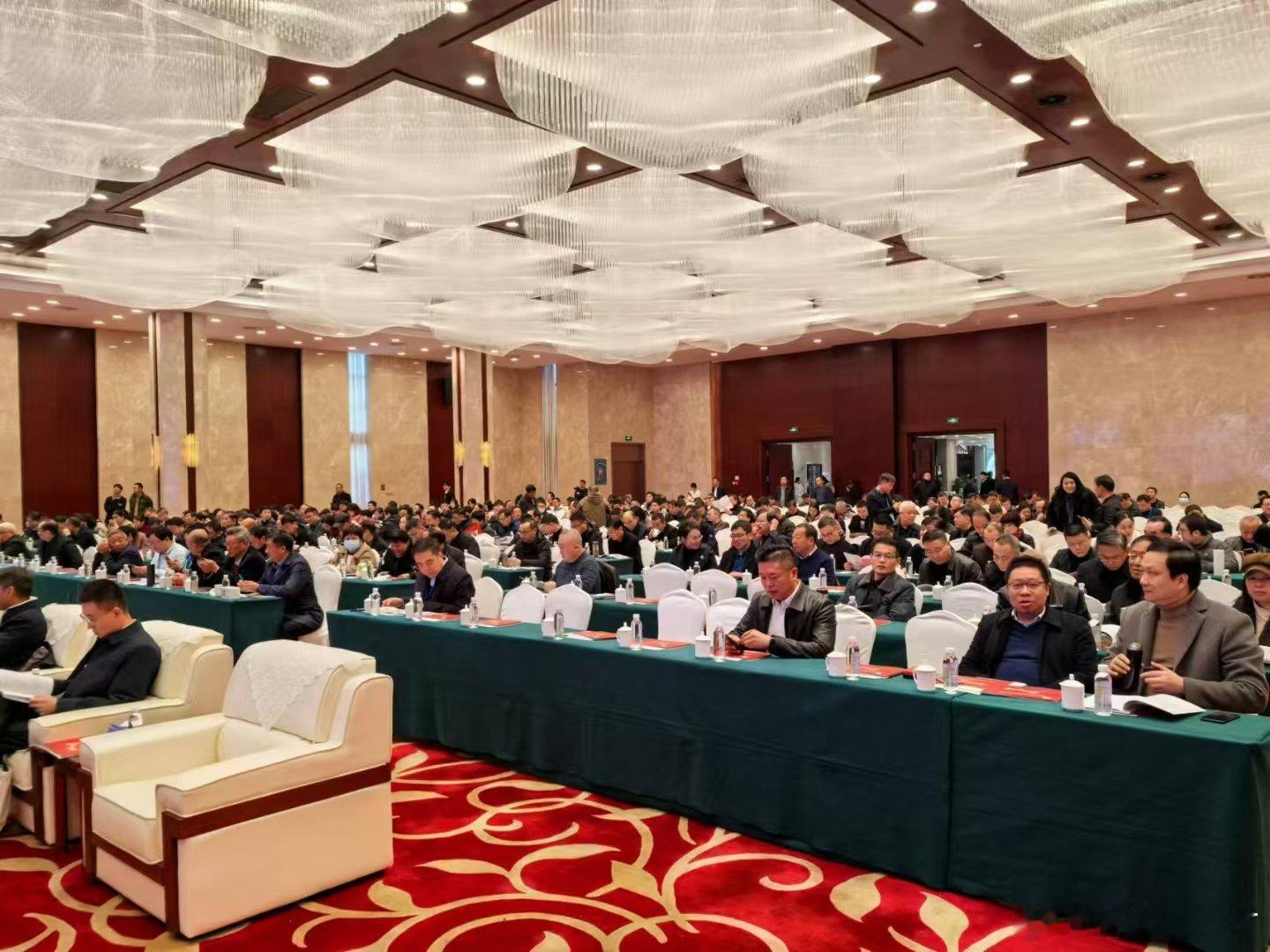 在开医学学术年会 