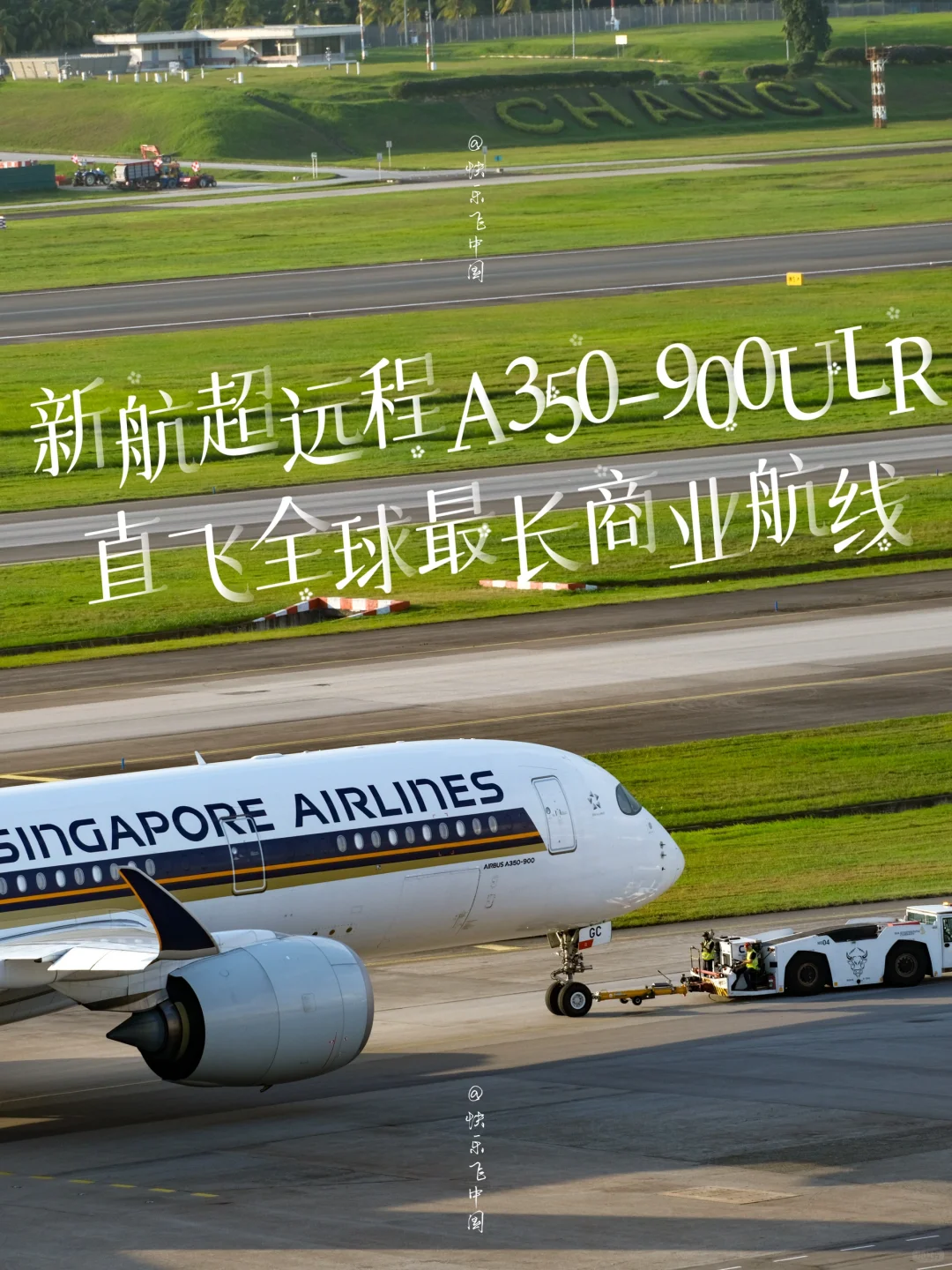 新航7架超远程A350，直飞全球最长商业航线❗️