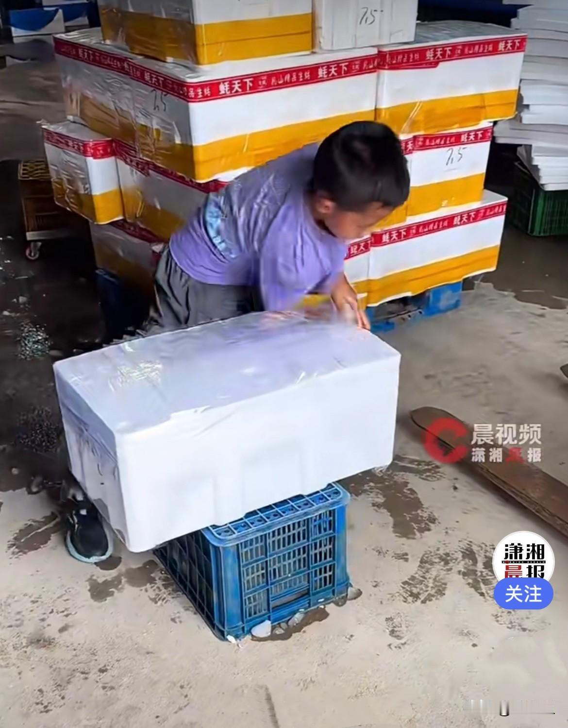 山东乳山一个四年级的小男孩，一放假就泡在自家的水产公司帮忙，就跟着家里学干活、打