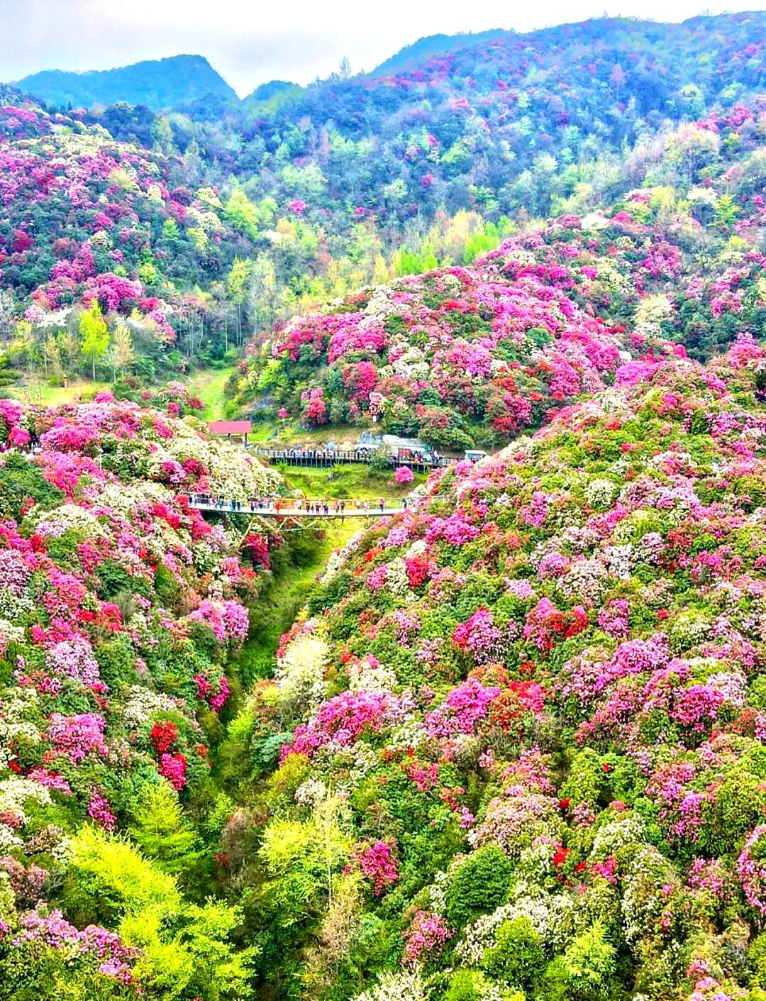 辛芷蕾与梁婷和解：那些骂过你的人，最后都去哪了？
辛芷蕾和梁婷，和解了。
两年前