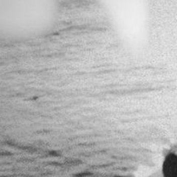 0900《水槛遣心二首·其一》 杜甫去郭轩楹敞，无村眺望赊。澄江平少岸，幽树晚多