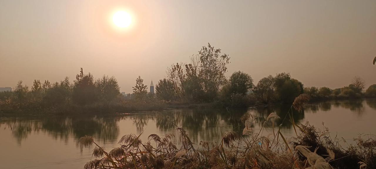 日本女魔头高市早苗太坏了，台湾有事，日本将介入台海。
       好大的口气，