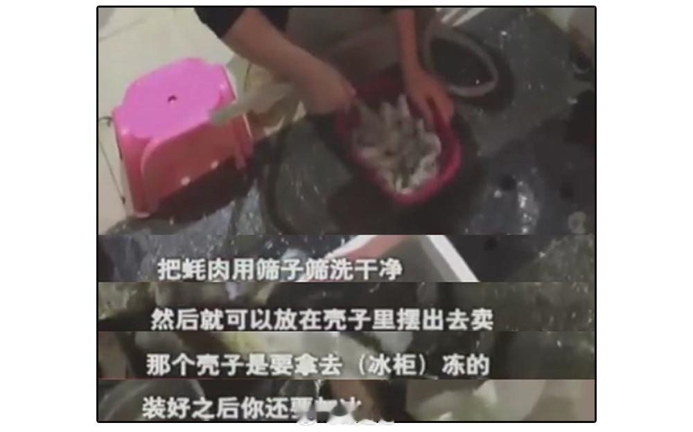 你以为你吃的是生蚝组装蚝  （好奇博士） 