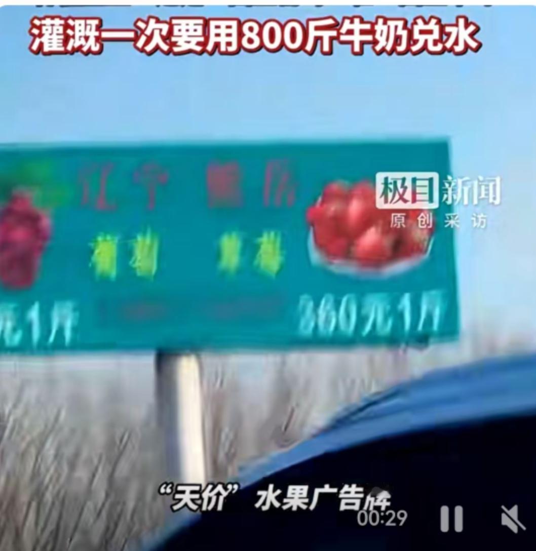 330元一斤的葡萄，360元一斤的草莓，这价格听着是不是像天方夜谭？2月23日，