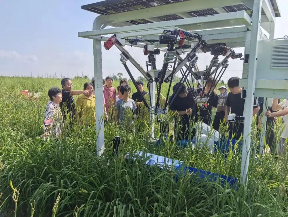 山西这款田间黑科技，解救万亩“黄金菜”

作为全国知名的“黄花之乡”，山西大同云
