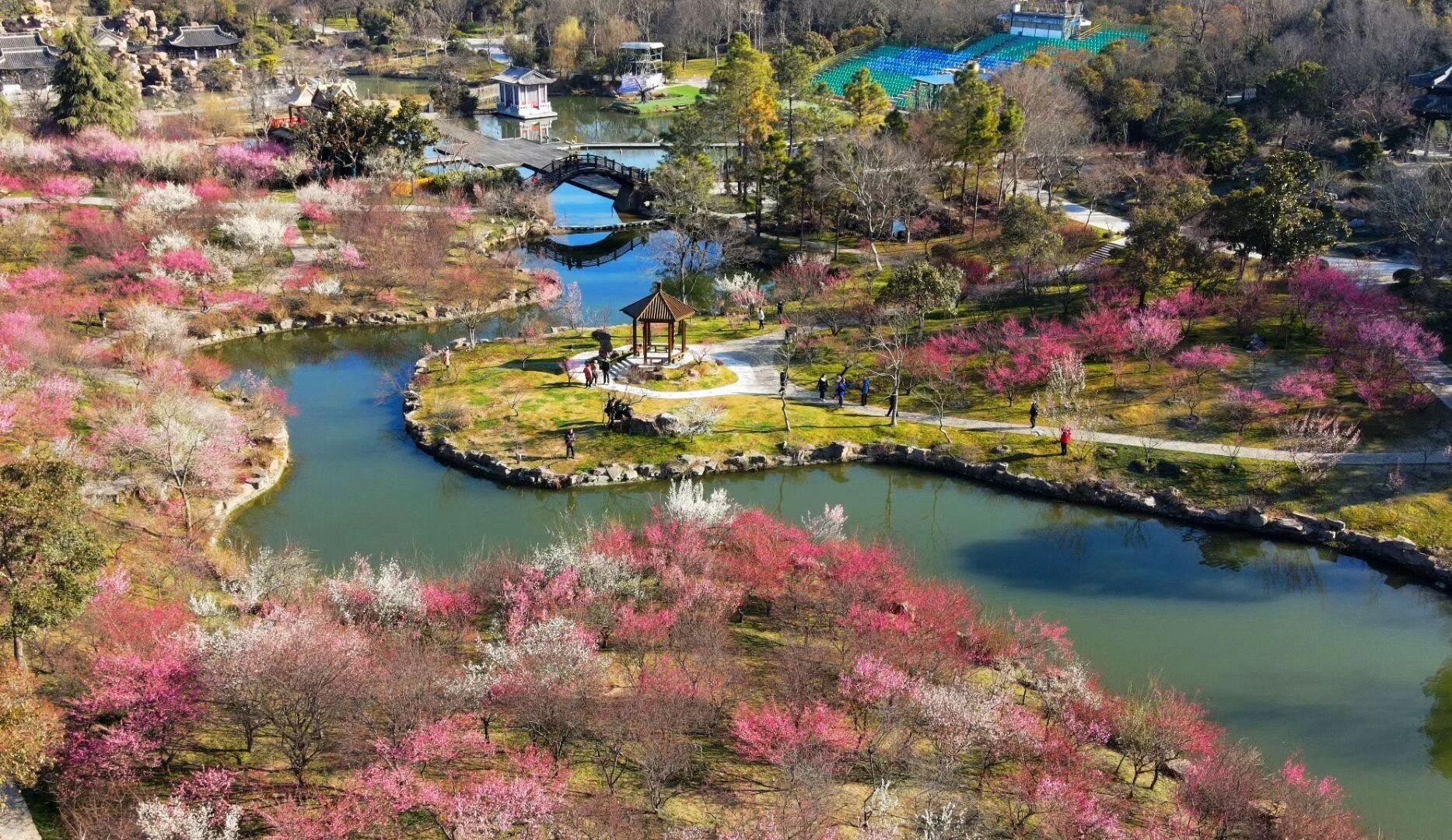 热气腾腾的中国年瘦西湖湖上梅林依水而建，曲水绕梅林，亭台映梅影，百余品种的梅花错