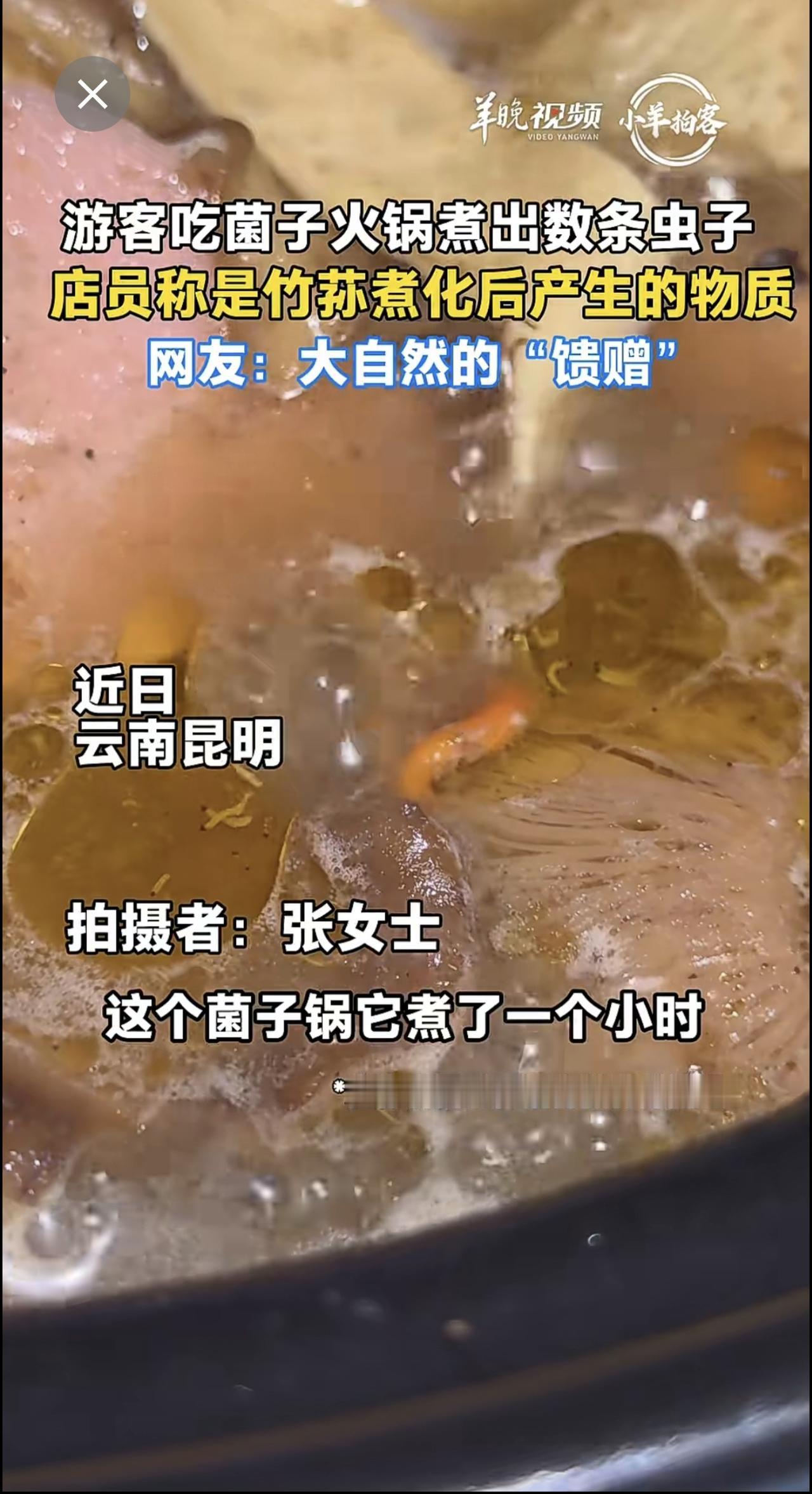 游客吃菌子火锅煮出数条虫子，店员称是竹荪煮化后产生的物质，网友：大自然的“馈赠”