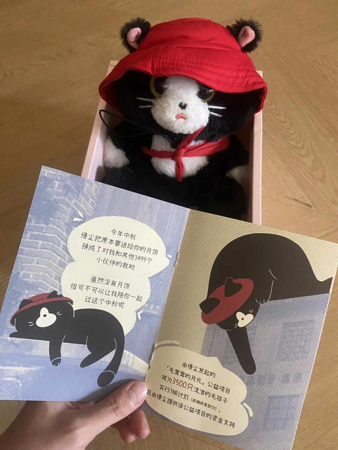 谁家的猫脾气这么大😮 每晚都这样…