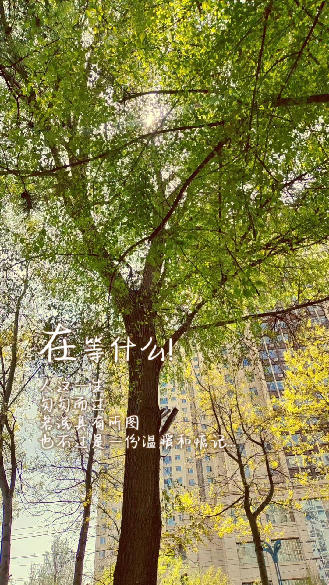 情绪低到极点， 树都想踢两脚，狗都想给两巴掌…