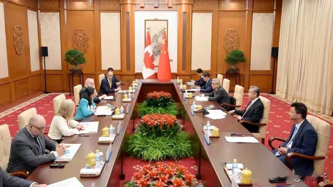 加拿大高估了自己的实力，关税战的主角并不是他，他非要盲目地跟随美国，遇到反制又求