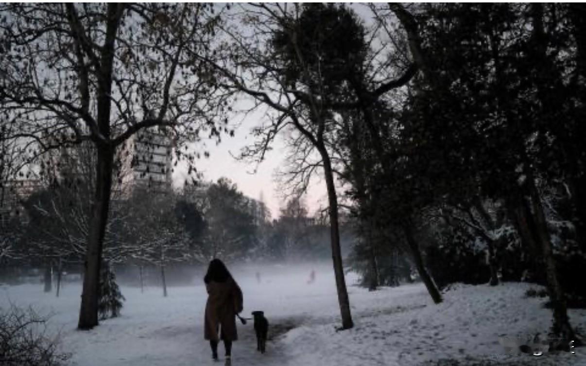 法国电视一台1月6日报道，自5日冰雪天气以来，法国多地因降雪和道路结冰造成交通事
