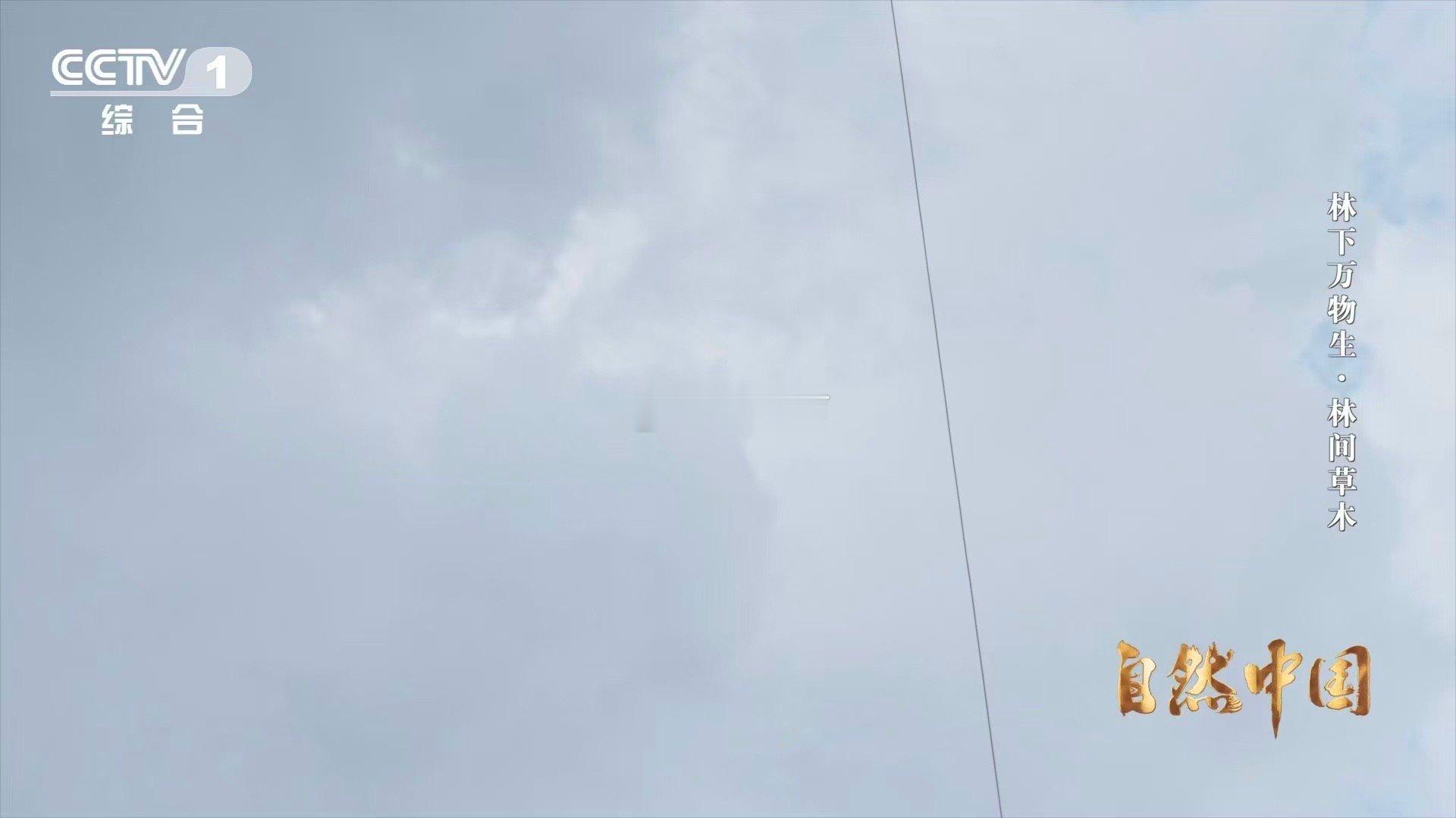 中国农村的科技含量越来越高 昔日“九山半水半分田”的生存困境，如今在科技赋能下变