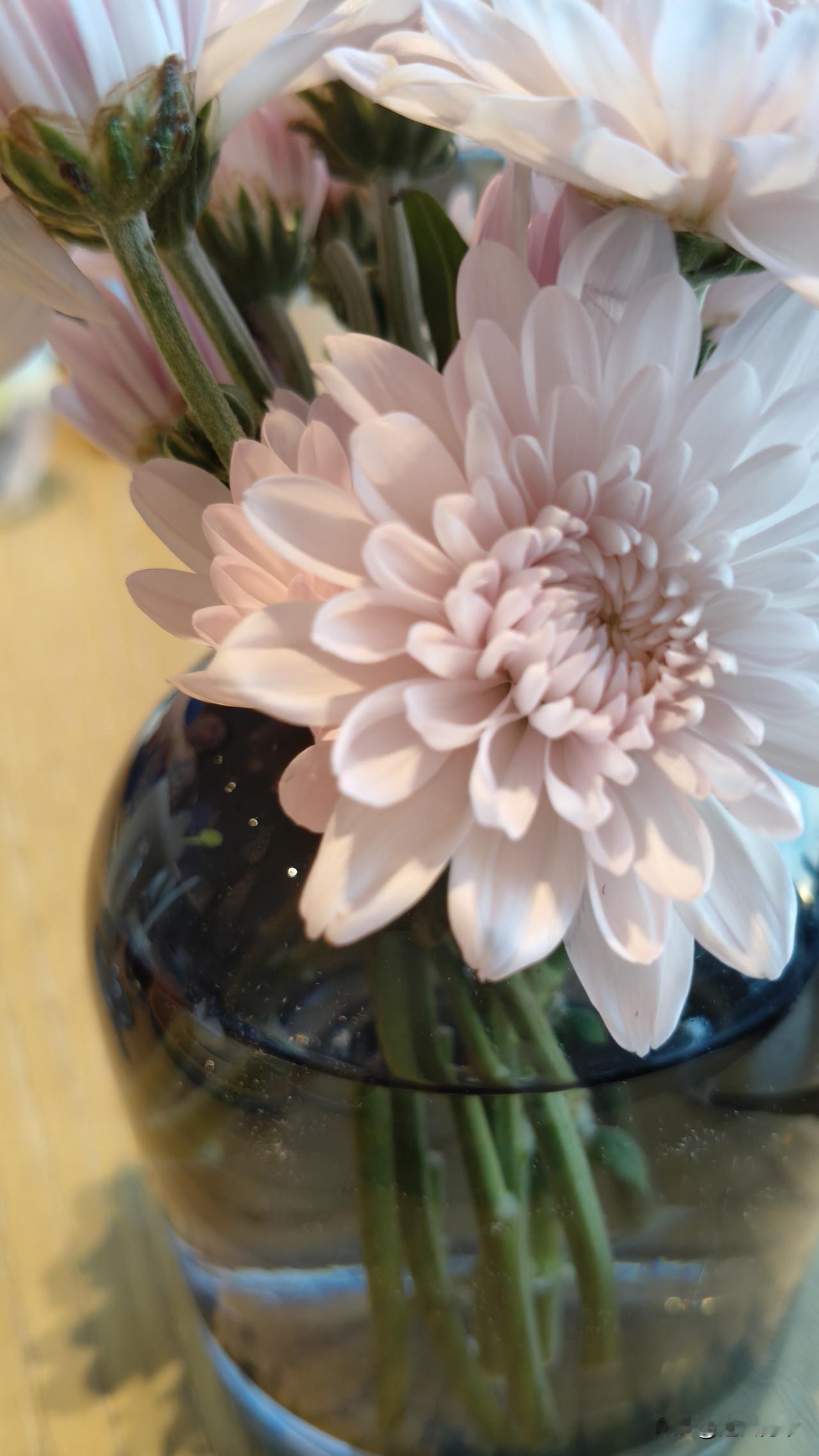 找对象，找的不只是结婚对象，还要看看他家人！古人话很正确，上梁不正下梁歪，就算他