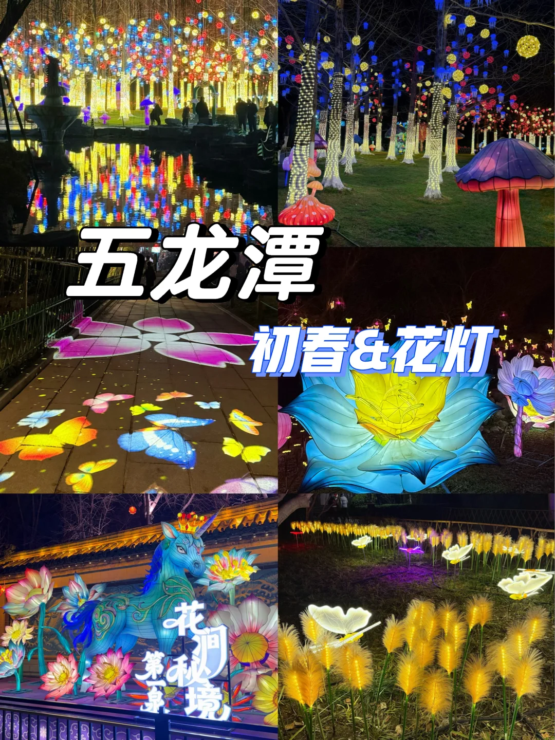五龙潭美爆啦｜灯会尾巴撞上初春的嫩芽🌱