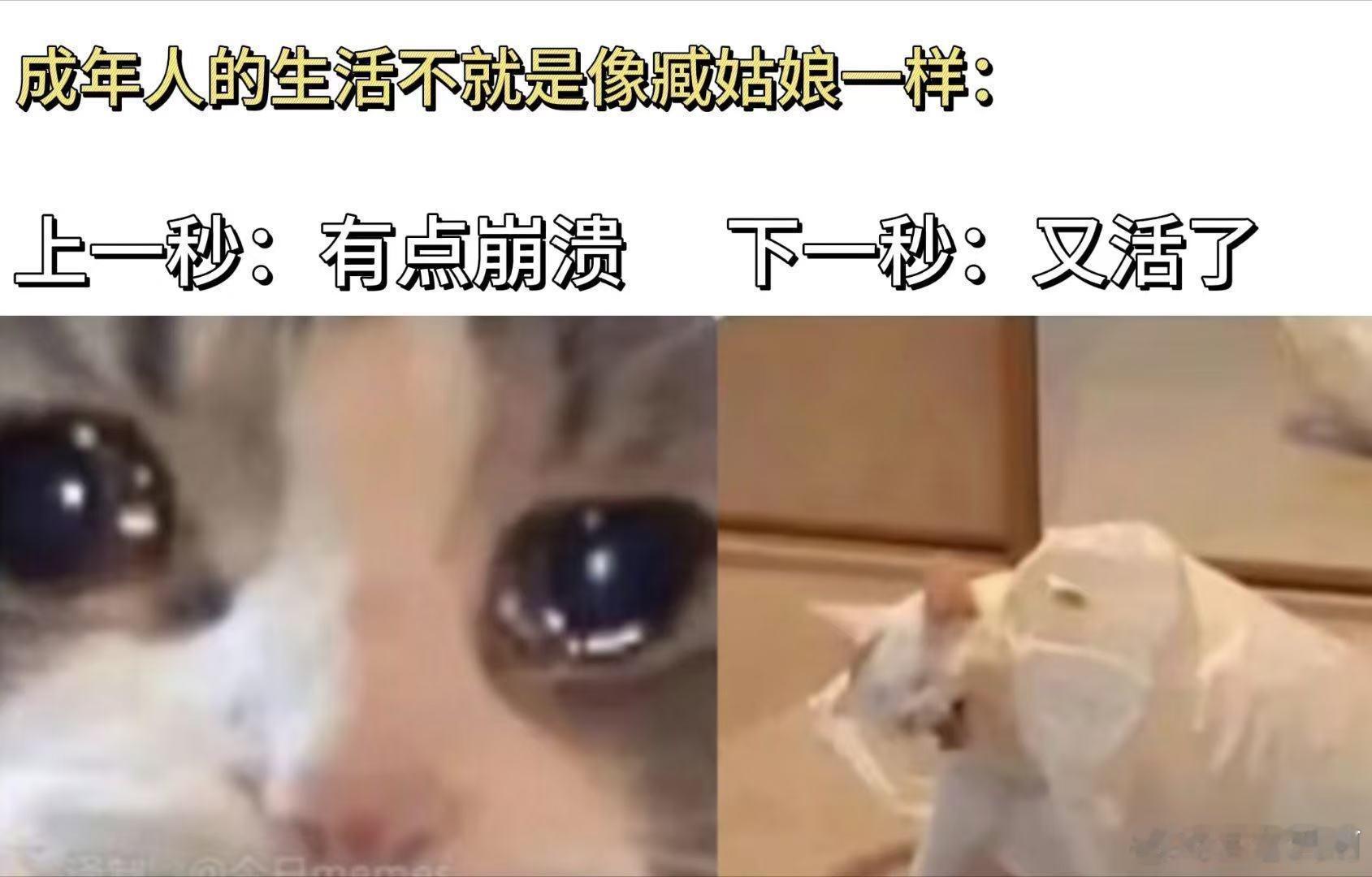 成年人的崩溃与自愈都在一瞬间 家人们谁懂啊！臧姑娘被前夫说像“寄生虫”，那心肯定
