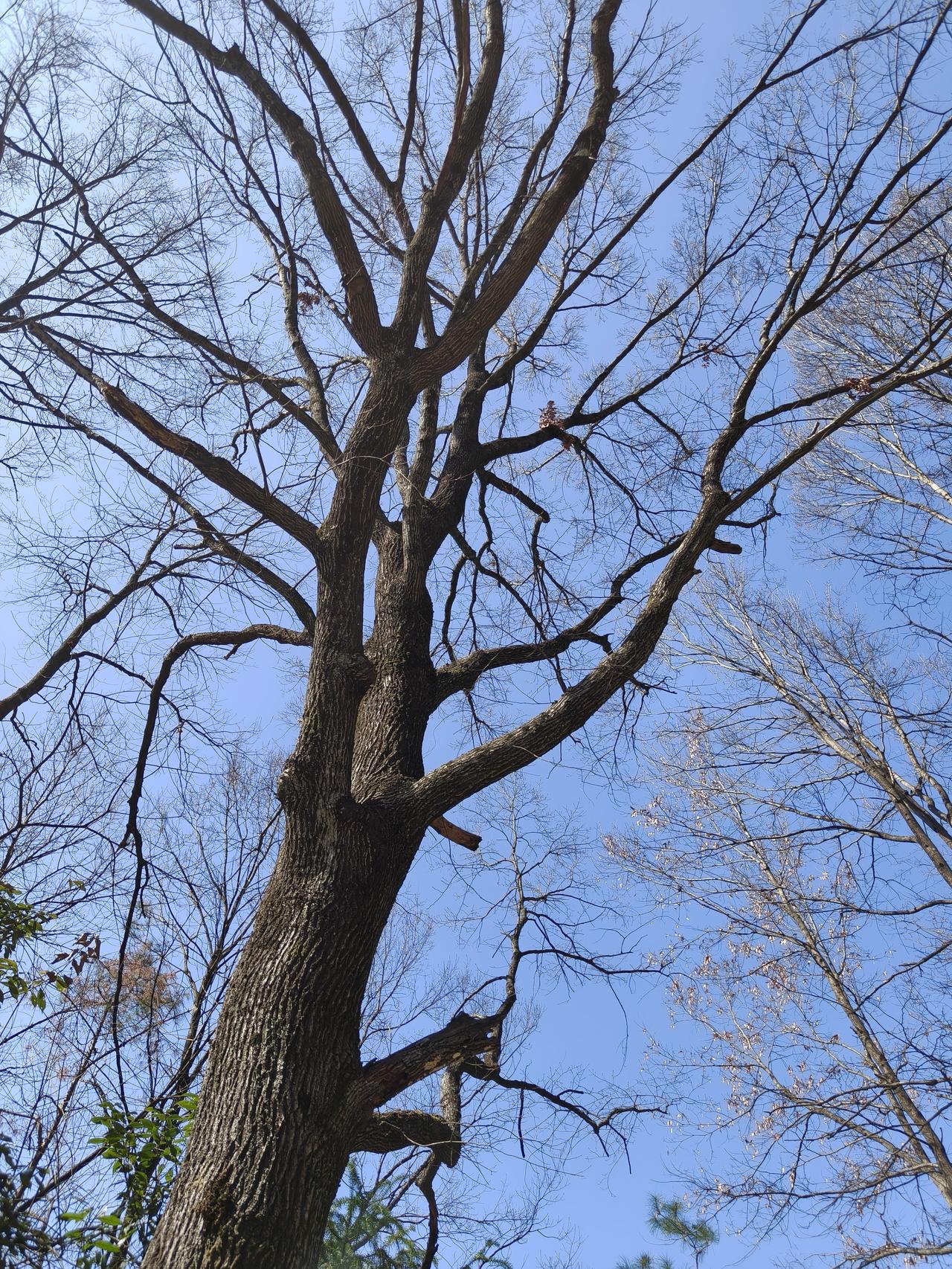 白云☁️深处🈶人家～🌲🌲🌲🌲