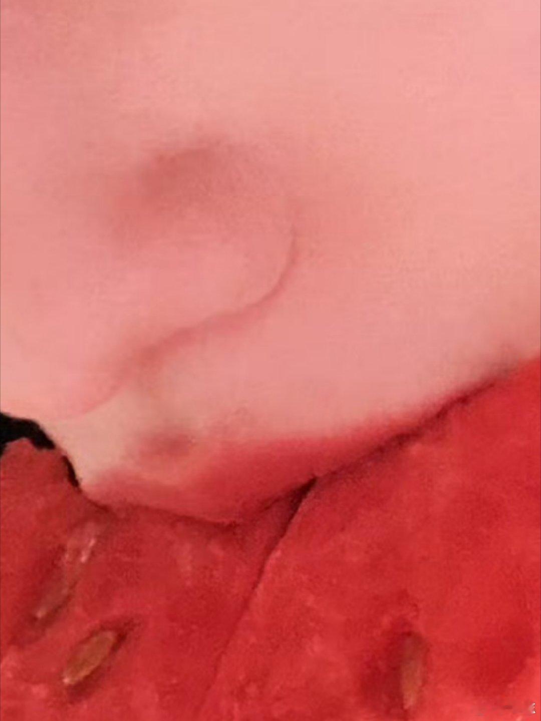 我全程在看这个👆🏻 