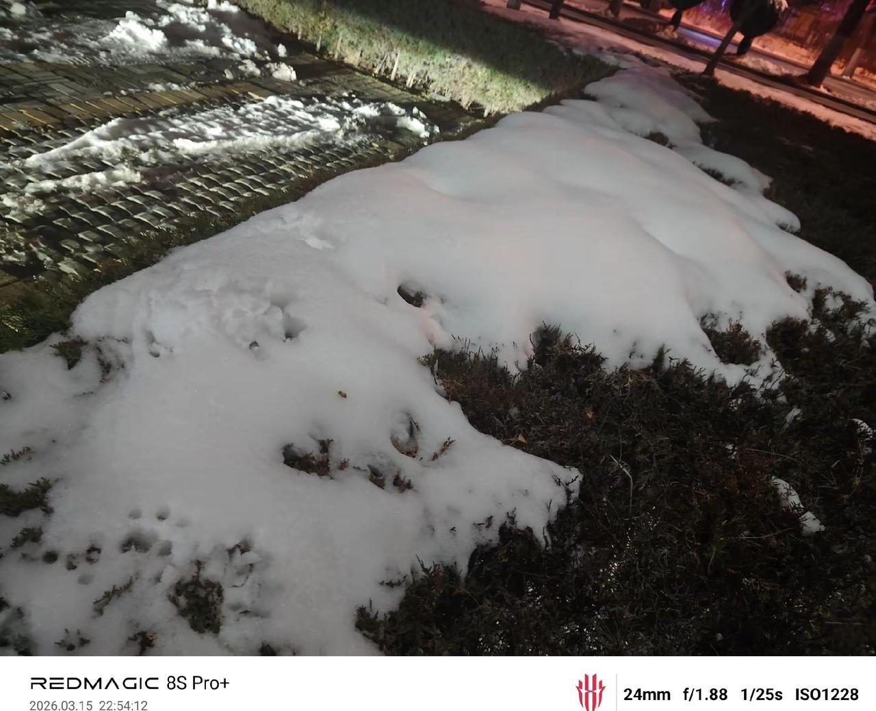 这应该是最后一场下雪了吧🤩❄️(＞﹏＜)❄️❄️❄️