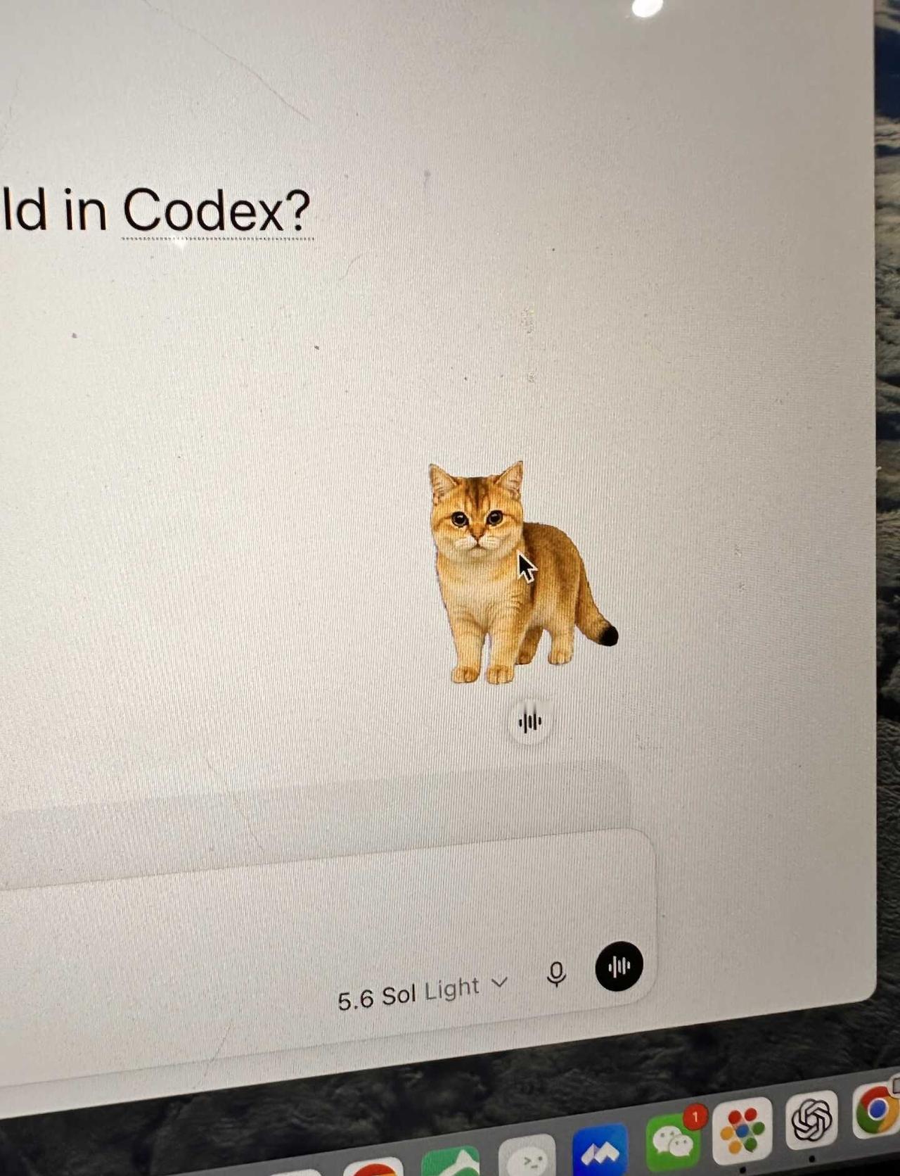 Codex 桌宠制作指南，半小时即可上线
目的是让家里的小懒猫也一起来工作[吐舌