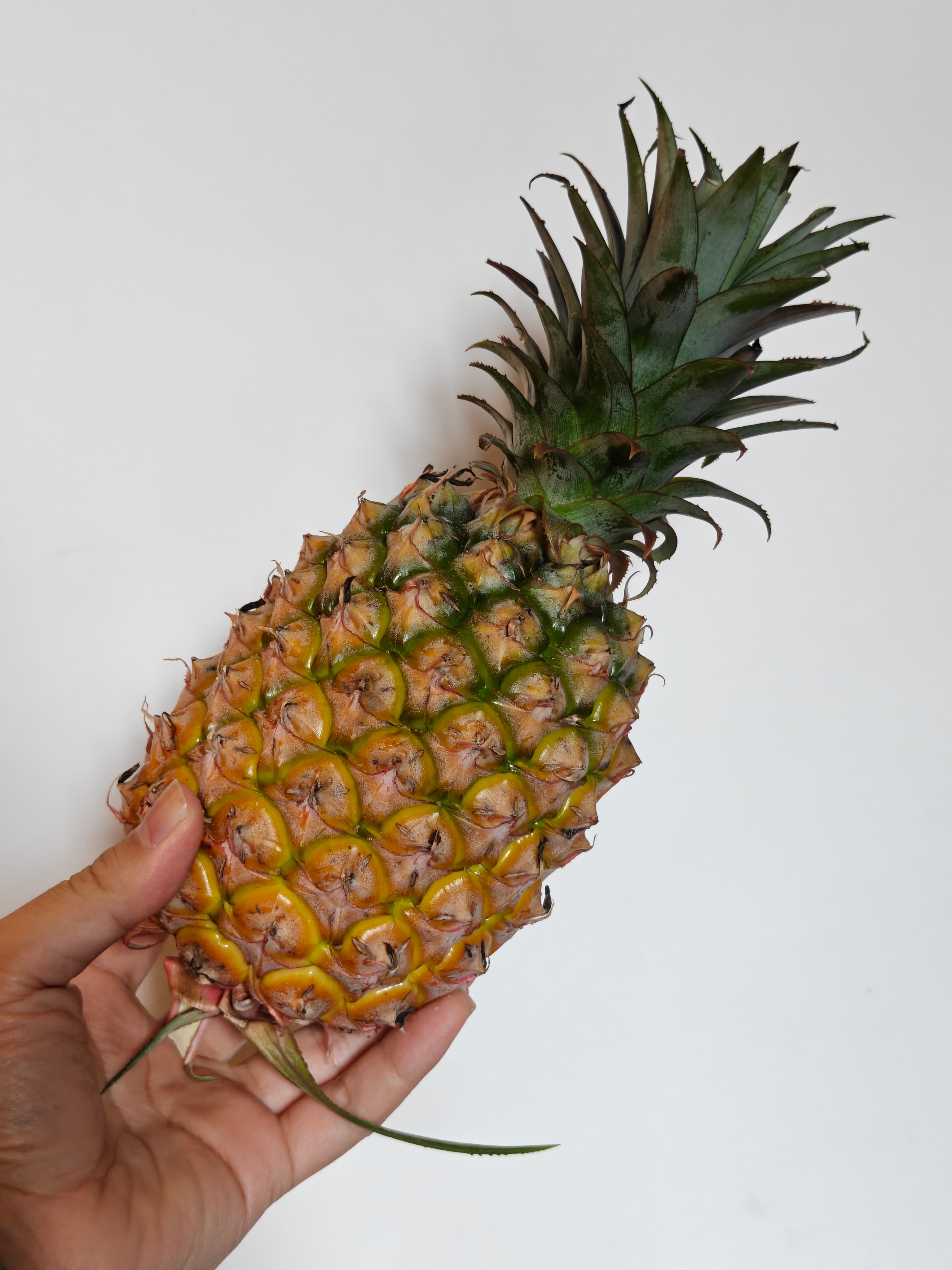 金钻长得是真别致 