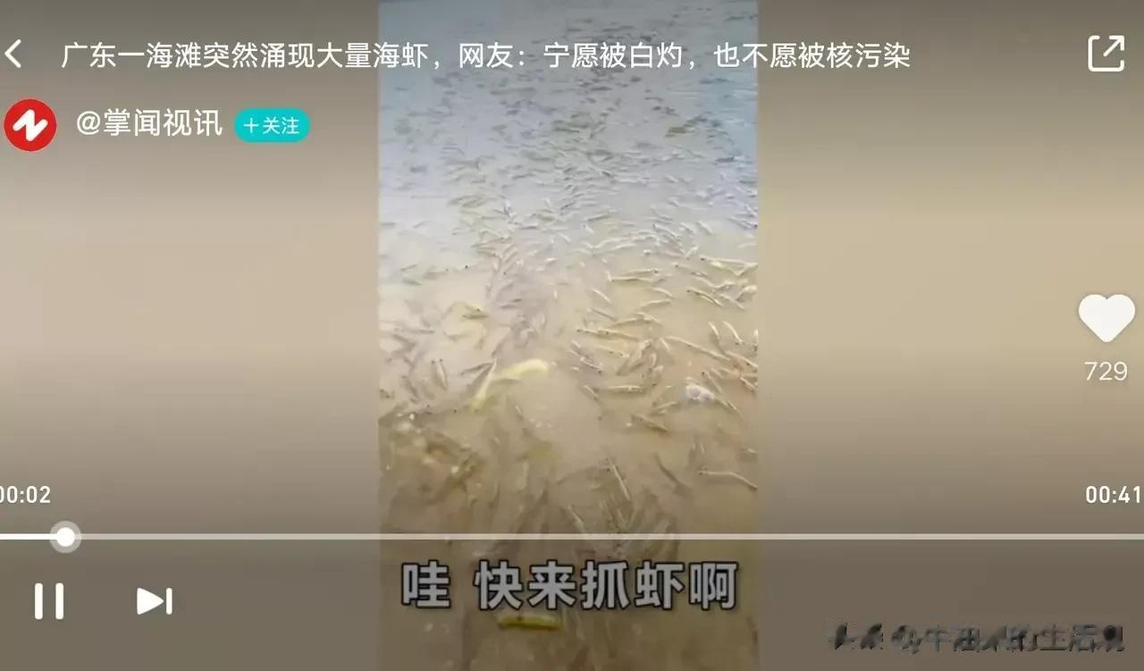 日本排核污水第二天，广东海滩出现大量活虾，原来海洋动物也是有灵性的。

日本这种