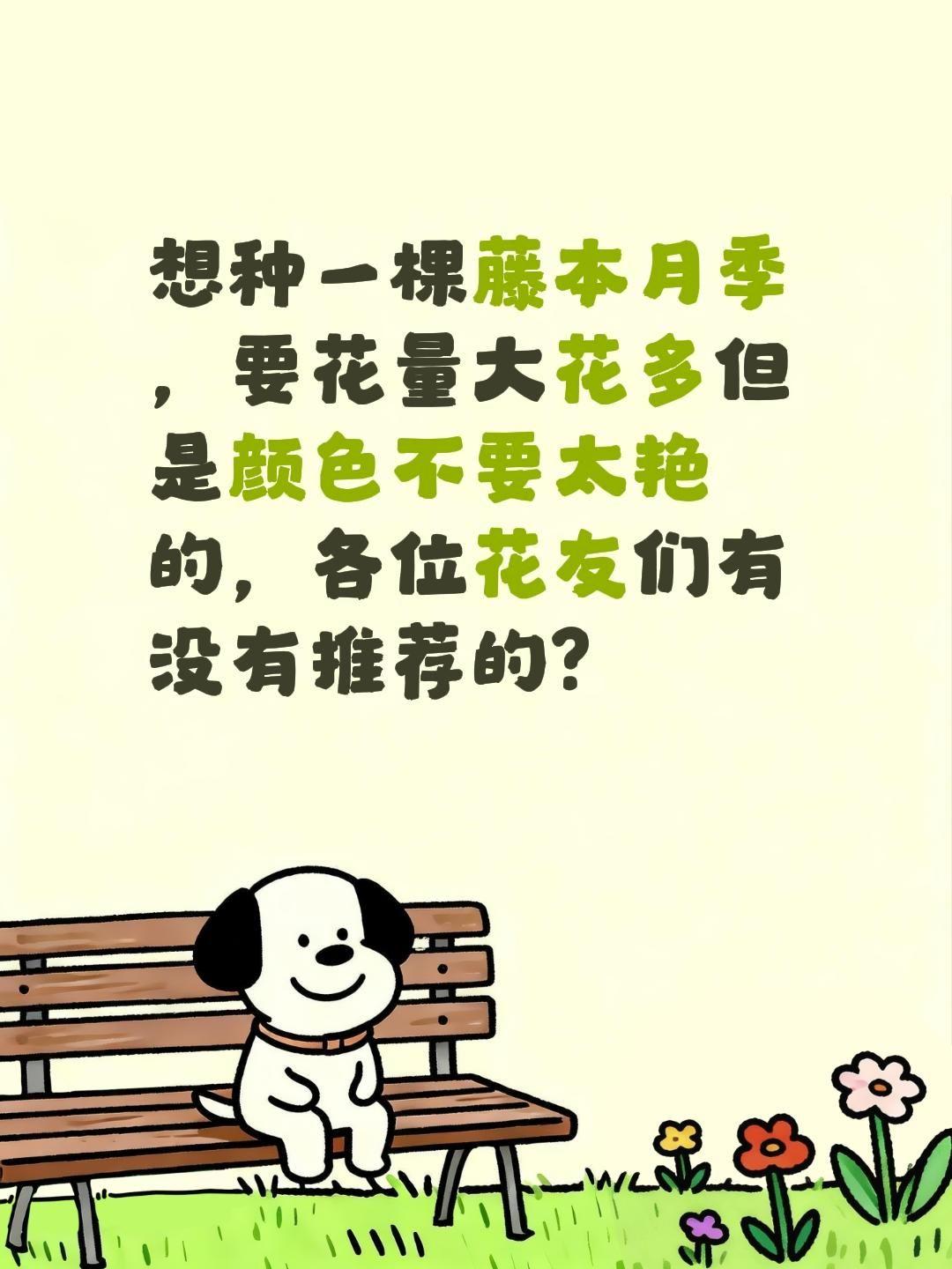 好的藤本月季有没有推荐的？想种一棵藤本月季
，要花量大花多但是颜色不要太艳的，各