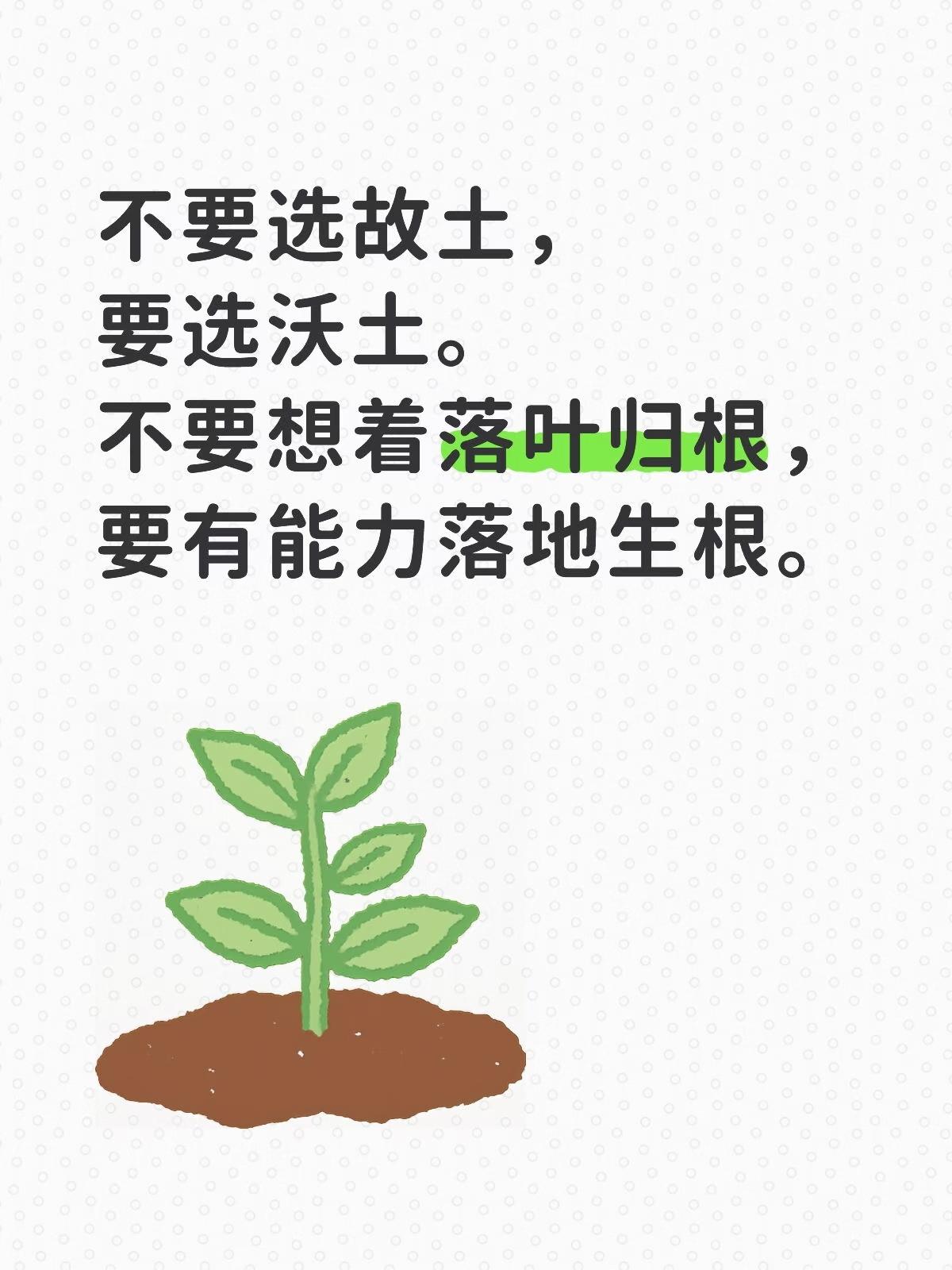 不要选故土，要选沃土。不要选故土，
要选沃土。
不要想着落叶归根，
要有能力落地
