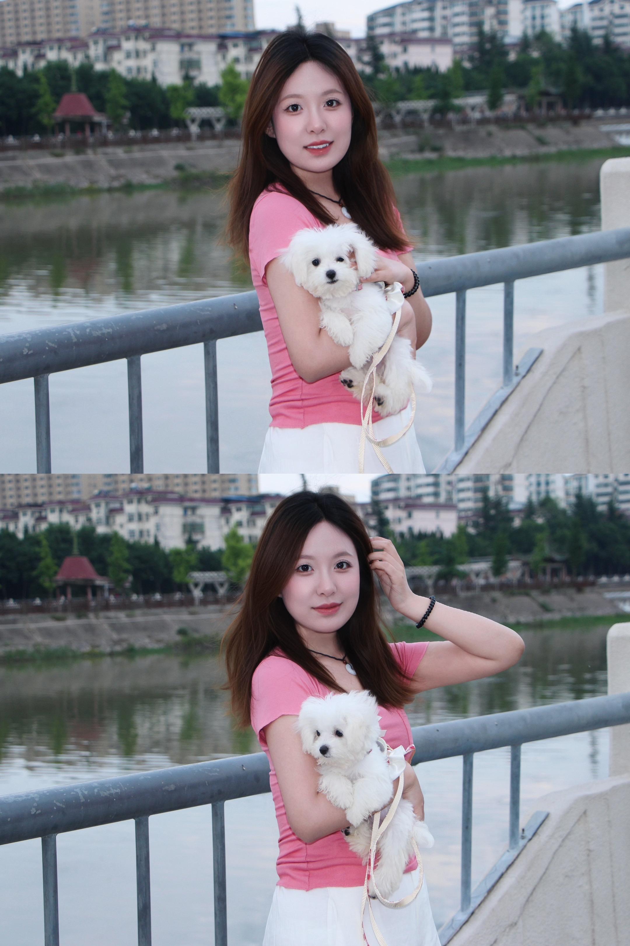 小狗🐕万岁！那一天你走进了我的生命 谢谢你 成为了我的几分之几～