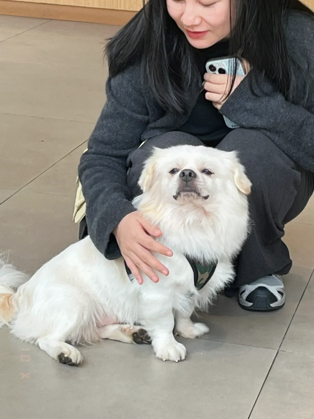美女一蹲，就这样水灵灵的过去了？