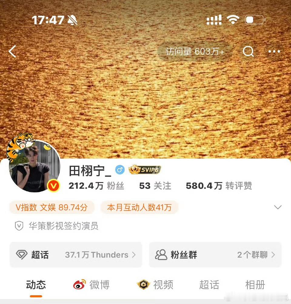 田栩宁访问量603万田栩宁主页访问量603w 太牛了 ​​​