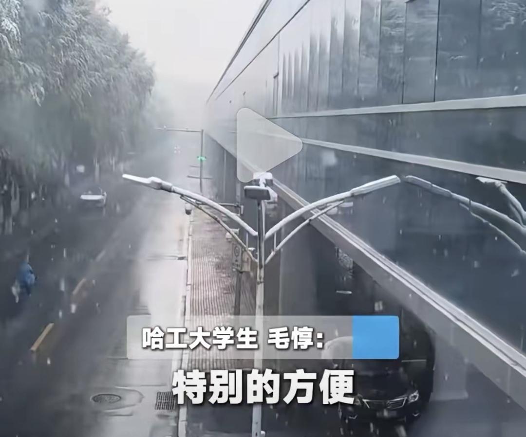 哈工大最近修了个暖廊，从宿舍到教室都不用出屋。冬天里面温度像春天，打球完一身汗的