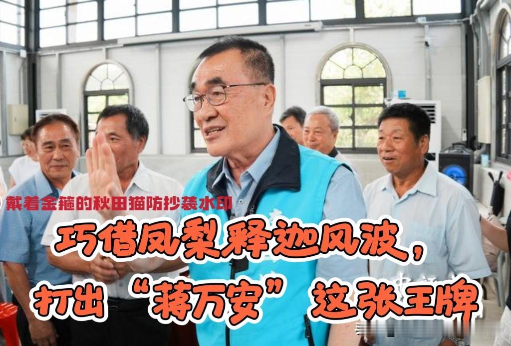 打仗还是靠亲兄弟！
李四川开打“蒋万安”这张王牌，巧借“凤梨释迦”风波，将与台北