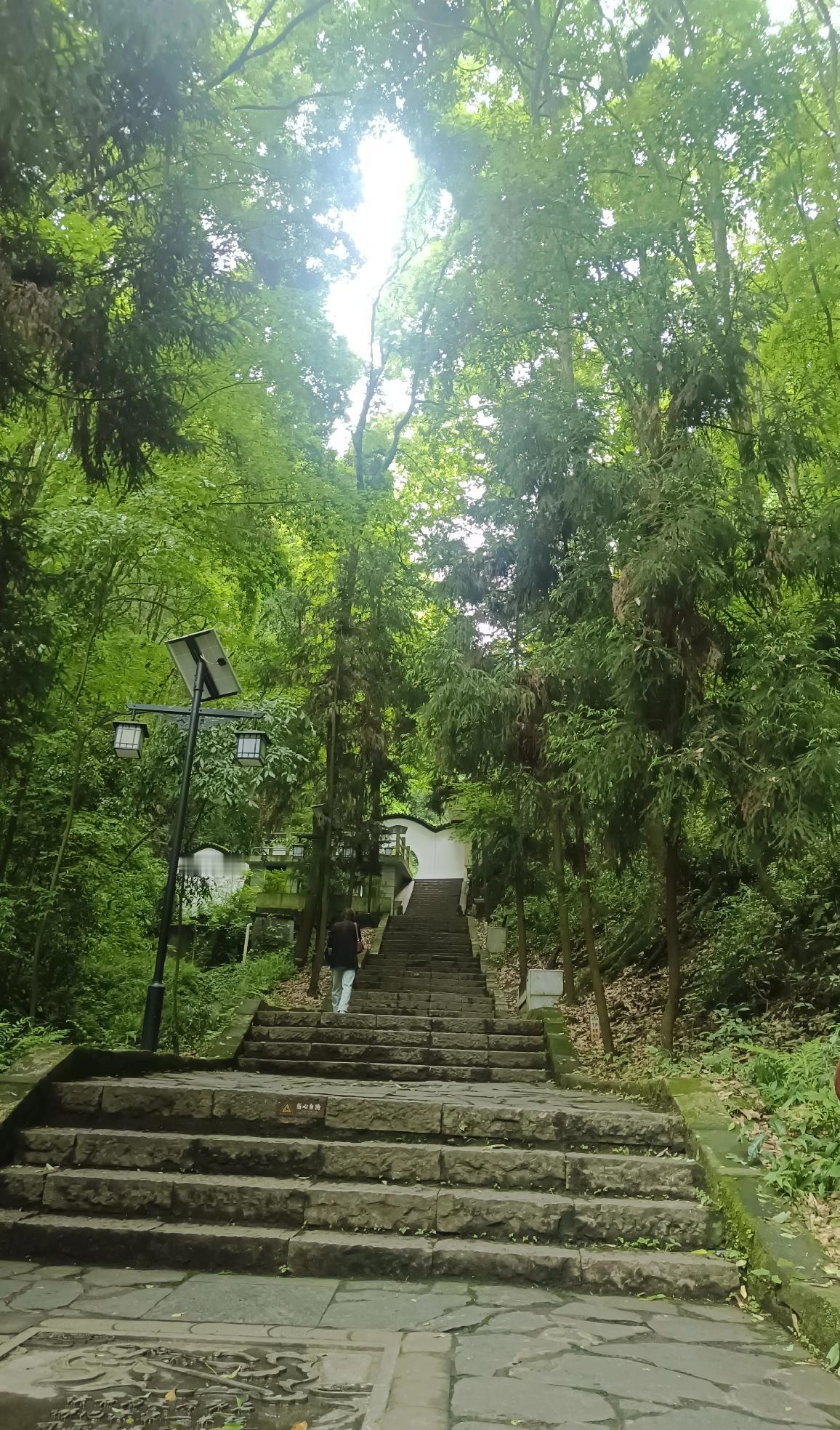 沿着林间小道慢慢走，阳光透过枝叶缝隙洒落，满地碎光斑驳摇曳。
林间清风徐徐，树叶