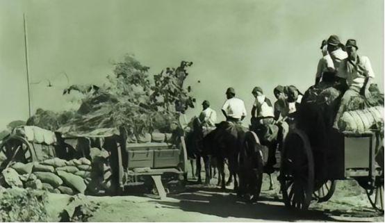 1938年11月，宋时轮得知第五大队200多人，被日军残忍杀害，当即率兵伏击日军