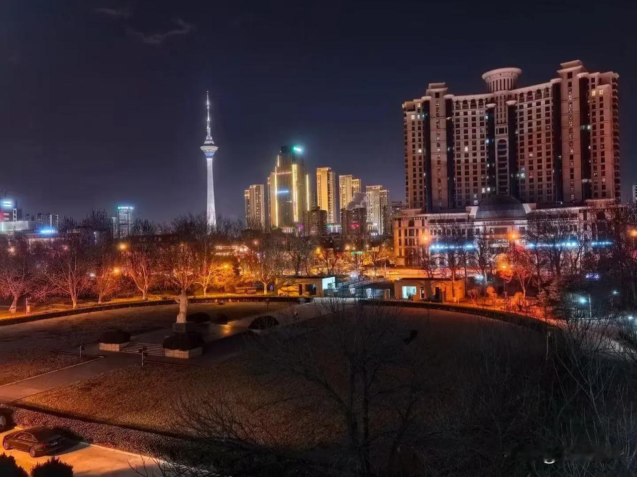 在南开园同恩来学长一起赏天津夜景。