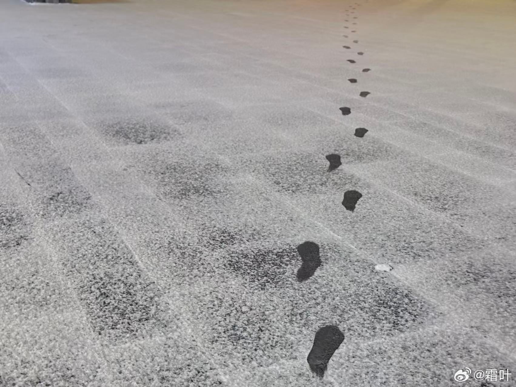 再次下雪了❄️ 