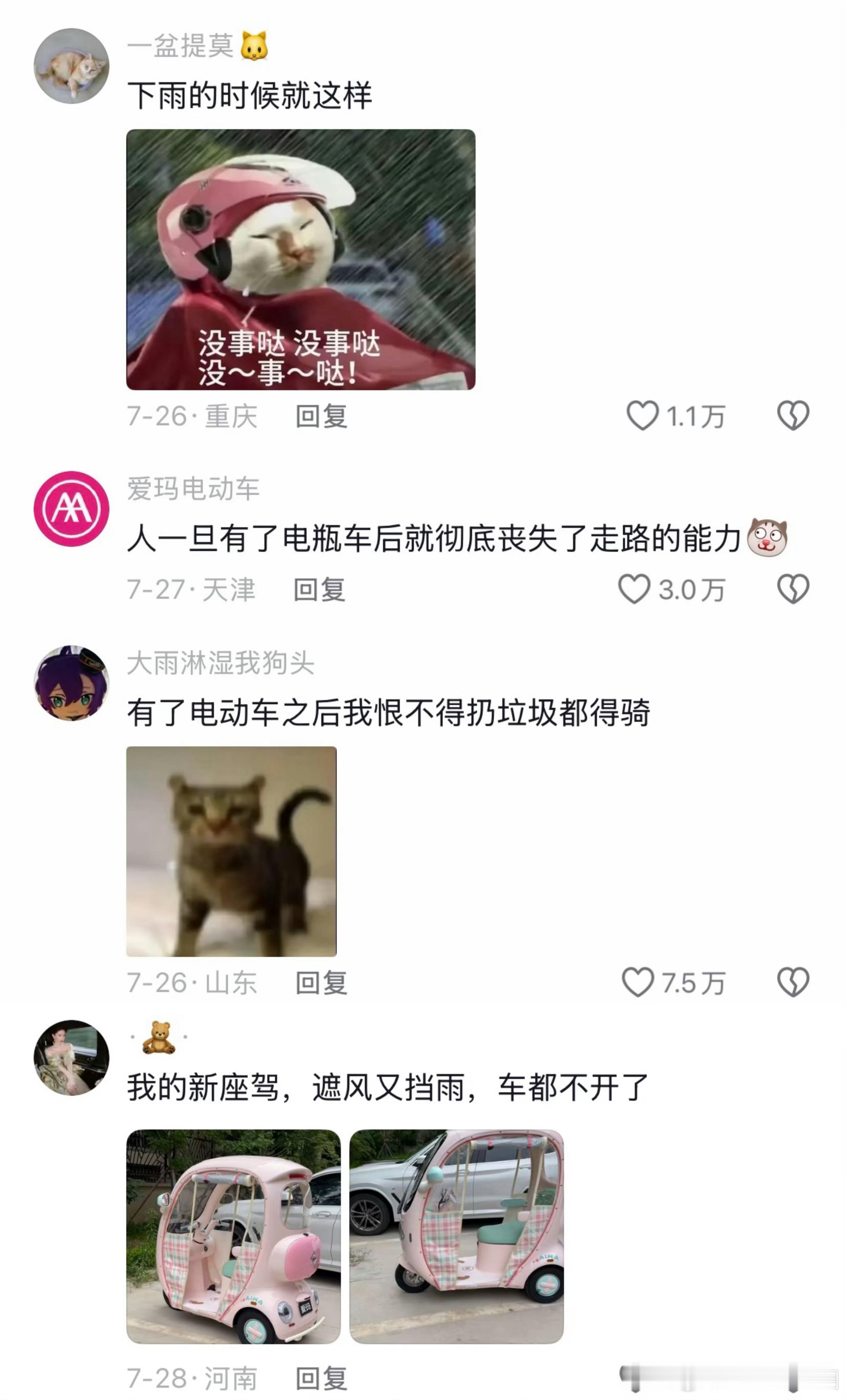 人生必备单品：电动车。真是这样吗？ 