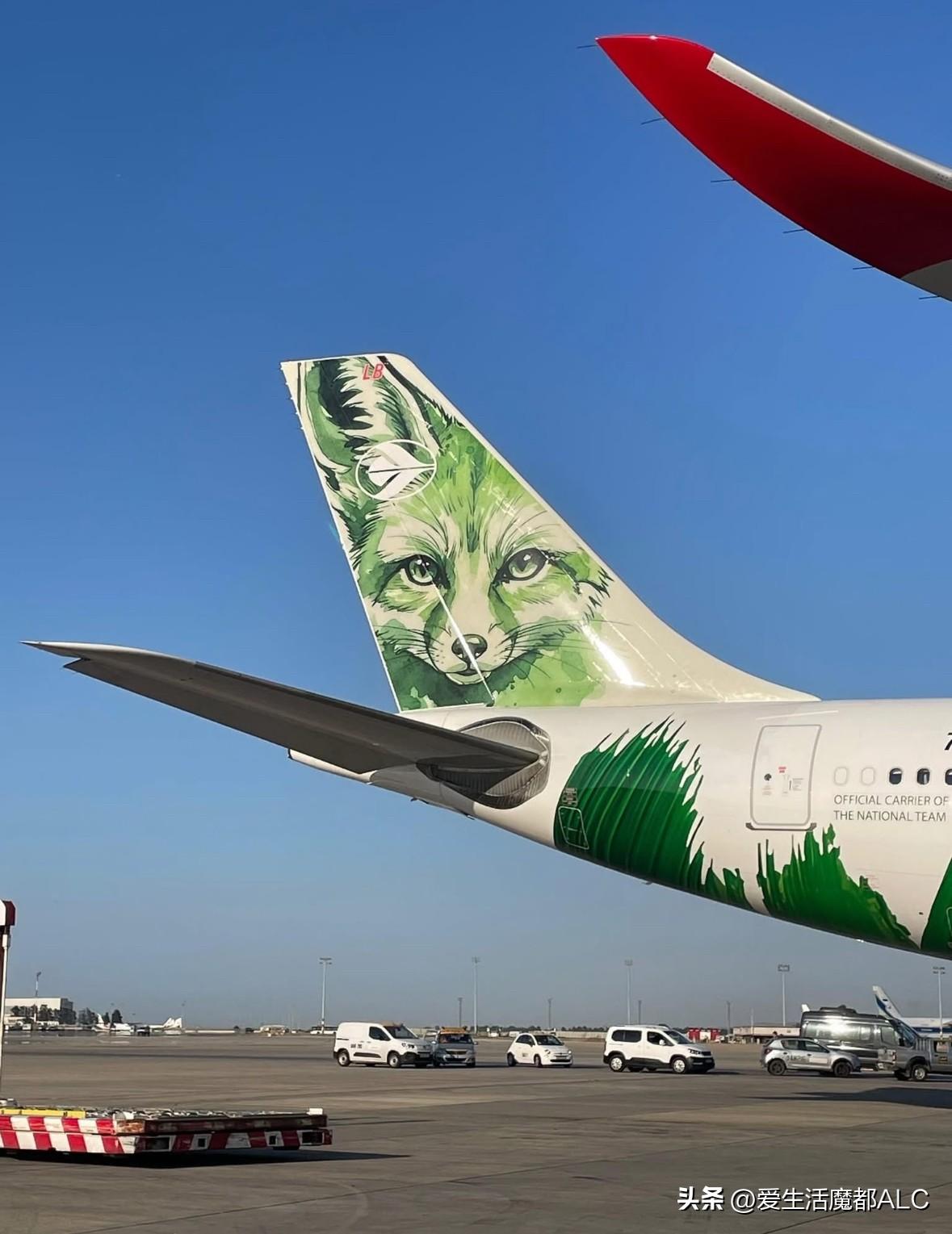 有点可爱的，猜哪个航空公司
