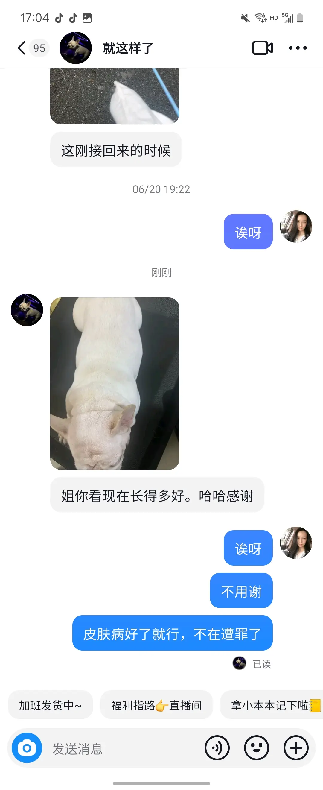 艾拉麻麻很高兴，我的粉丝的毛孩，斗牛皮肤病困扰着它，治不好，求助我帮忙...
