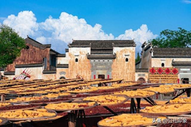 给土地下跪 拜农民为师——严学章的振臂一呼