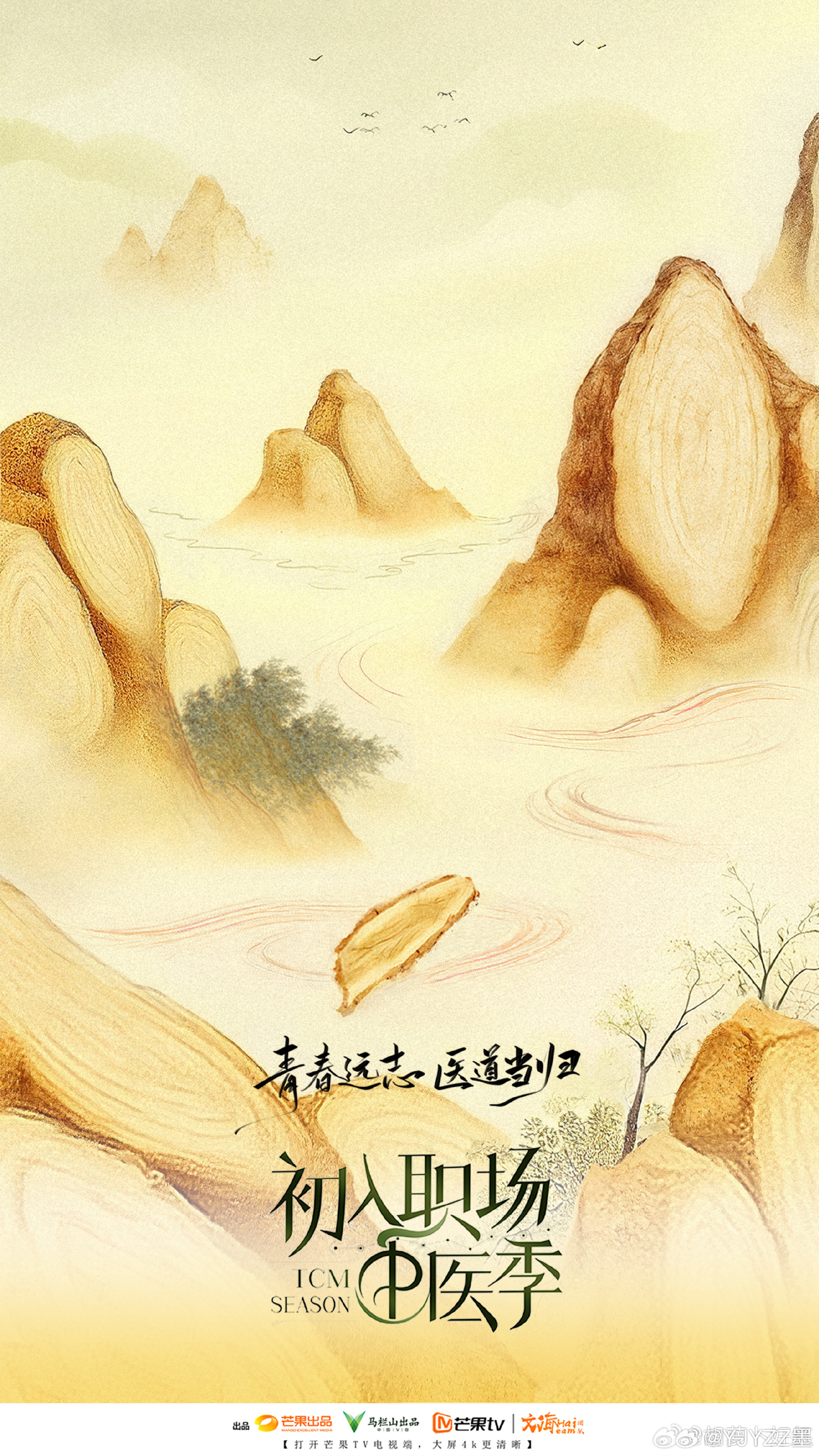 芒果格局在敬畏生命这块没得说 从敬畏死亡到敬畏生命，《初入职场》系列一步步引导我