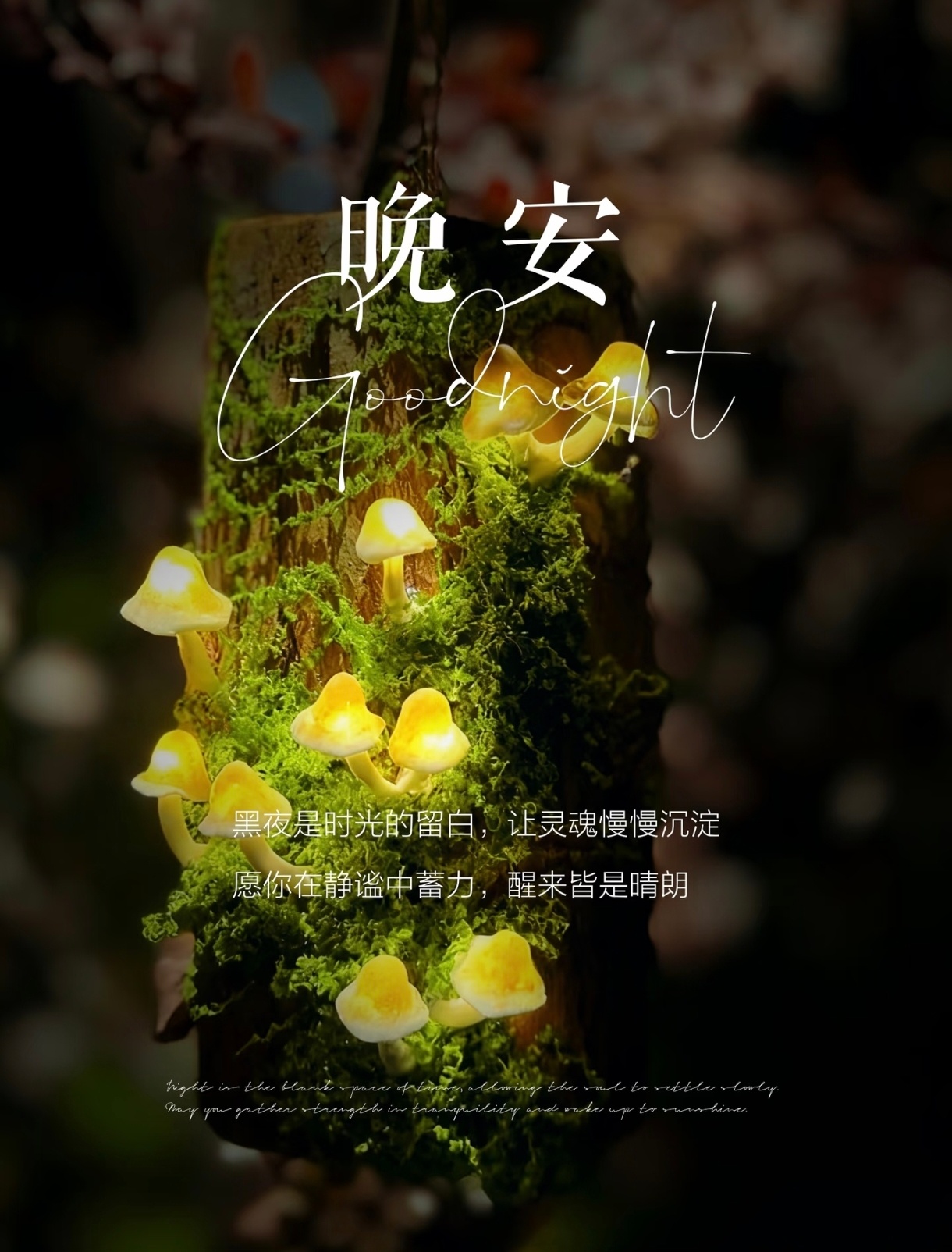 ❤️₂₀₂₆.₀₉.₀₁☼ 人生下半场，拼的不是能力和运气，而是心态与健康。 ❥