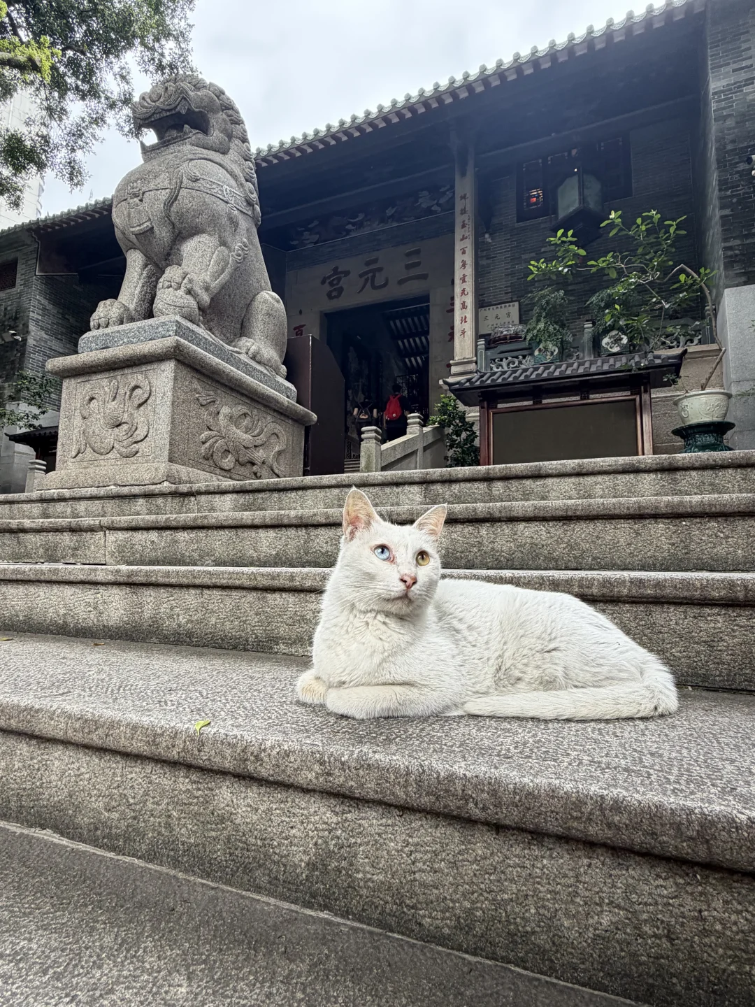 三元宫你嫑灵得太离谱，必须给到夯！！！