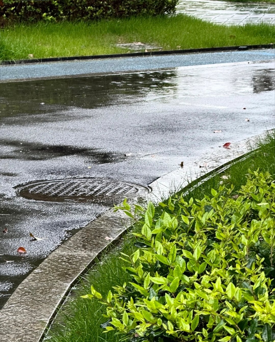 周一清晨伴着淅淅沥沥的雨声醒来，窗外云雾朦胧，空气湿润清爽。雨天虽少了暖阳，却多