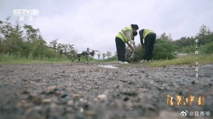 秦岭深处树在天上飞树苗坐无人机空降秦岭深处的无人机空降树苗行动，通过科技的力量帮