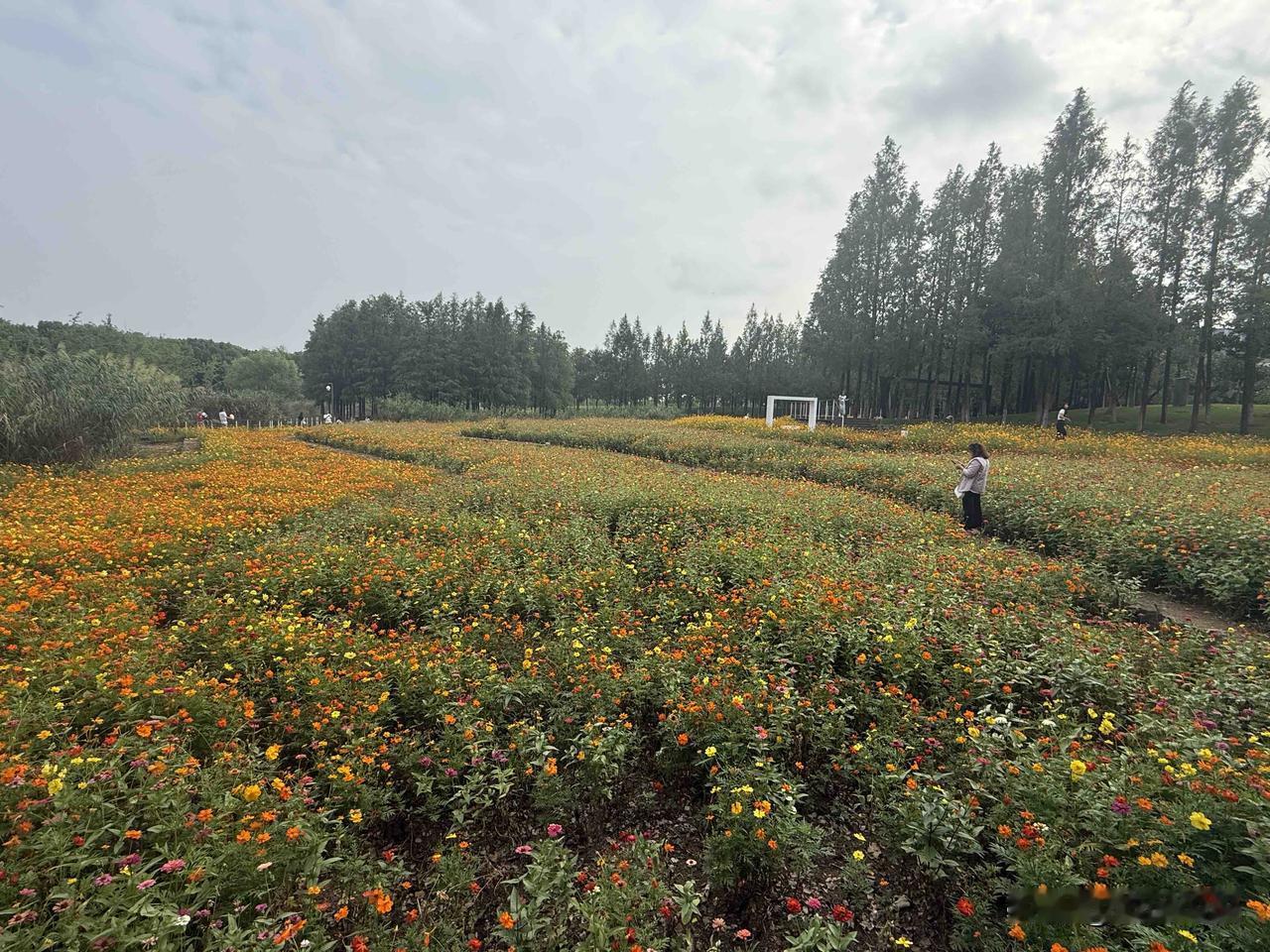 清嘉庆年间，各地出现了一种奇怪的现象，那就是大量"编外衙役”充斥基层。各县级部门