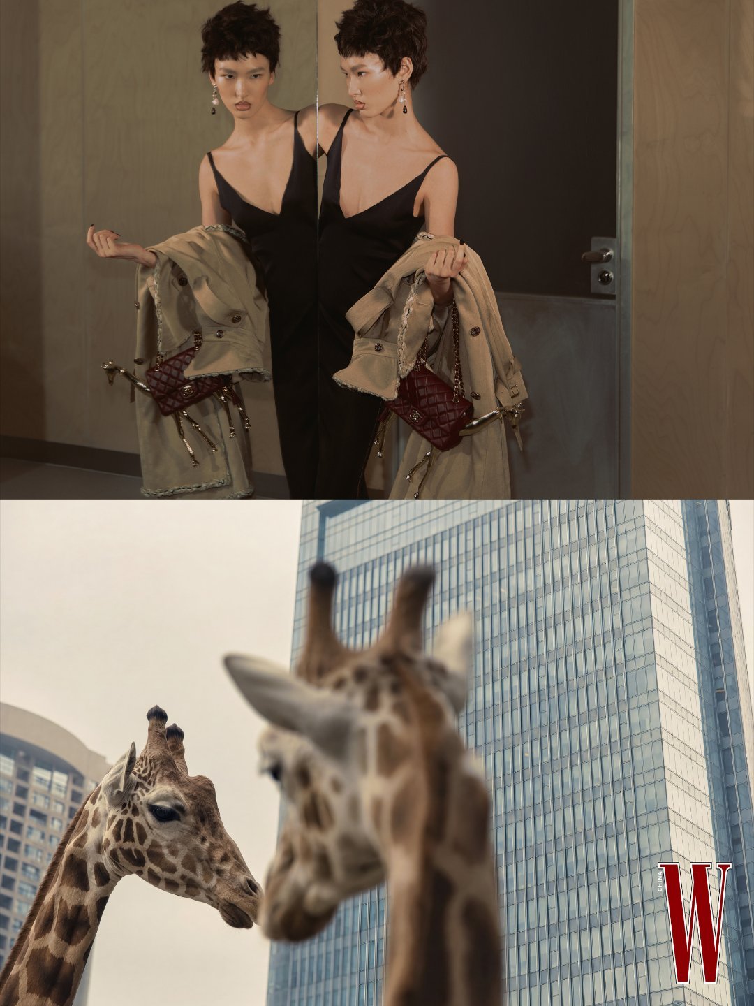 分享图片 
