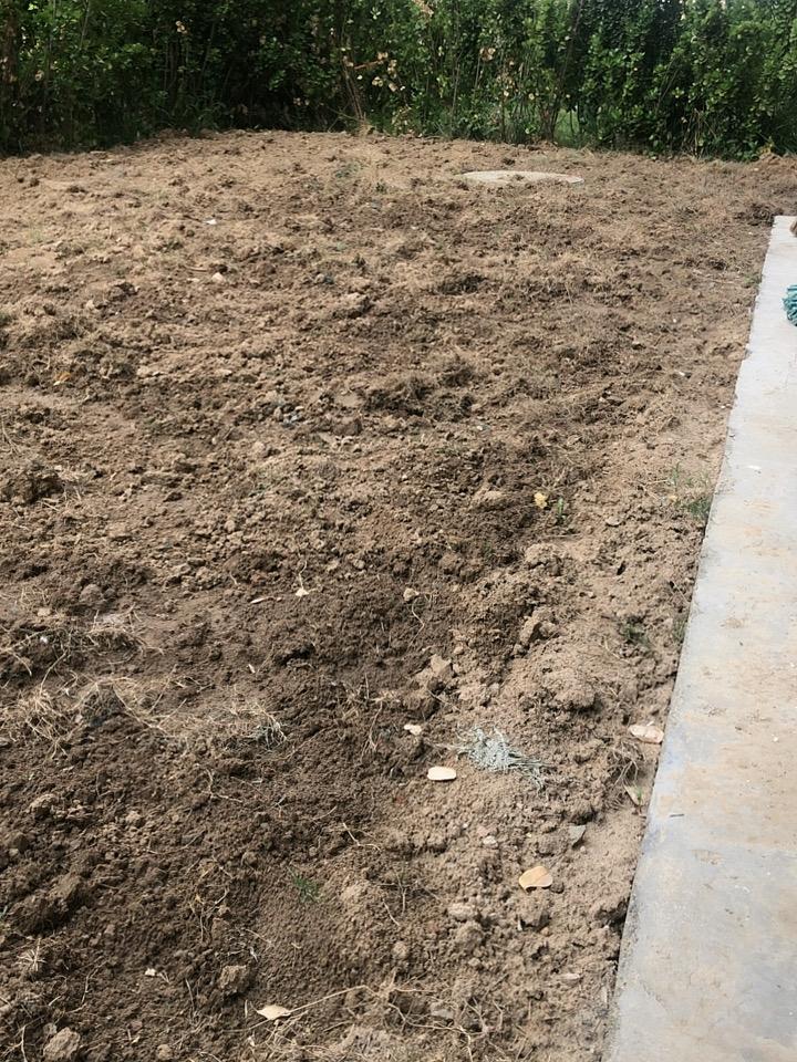 我家有个小菜园，由于经常有小孩跑进来，感觉种什么都不安全，大家给点建议，这个季节